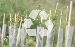 Spiral Trees with Recycle Logo in Forefront