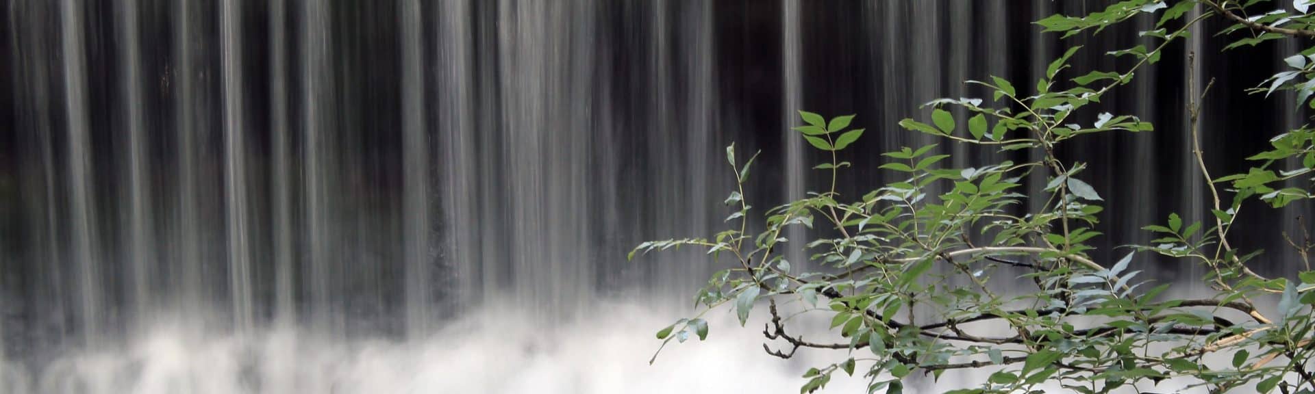 Large Waterfall with Tree Branches in Foreground